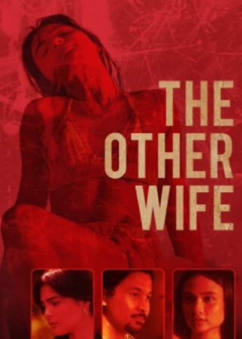 The Other Wife